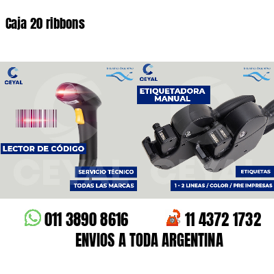 Caja 20 ribbons