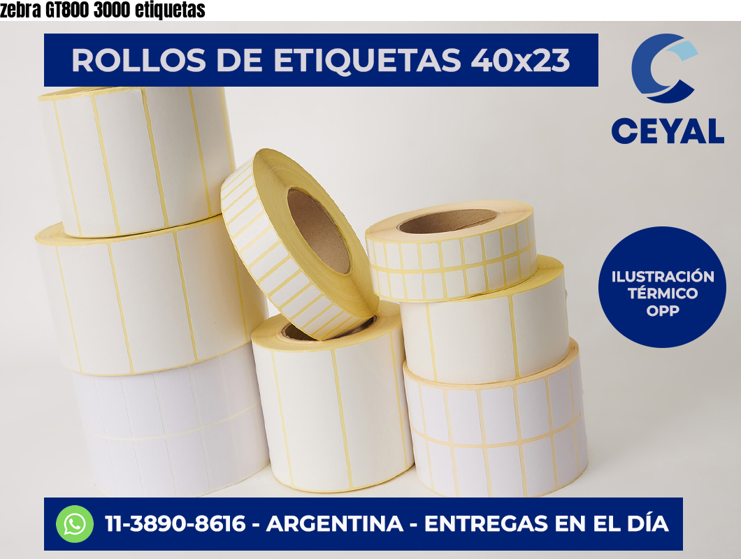 zebra GT800 3000 etiquetas