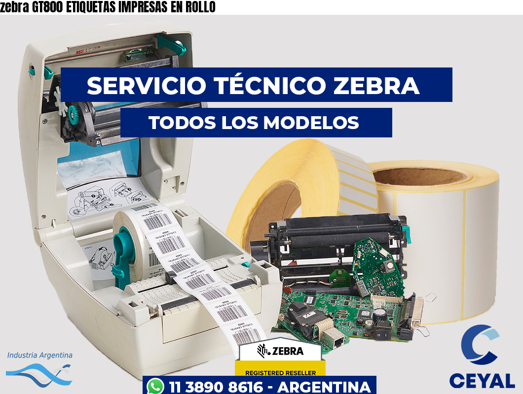 zebra GT800 ETIQUETAS IMPRESAS EN ROLLO