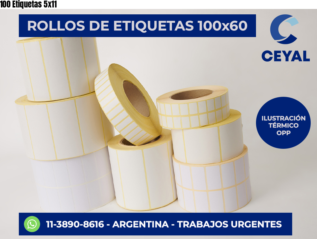 100 Etiquetas 5×11