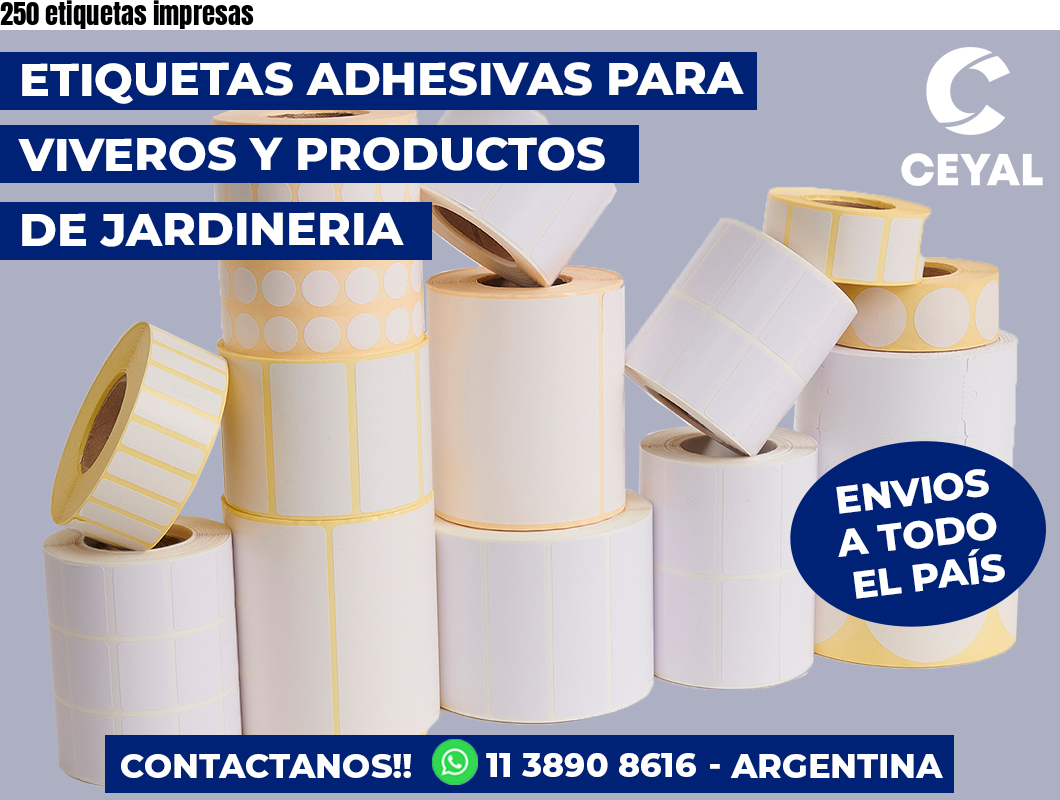 250 etiquetas impresas
