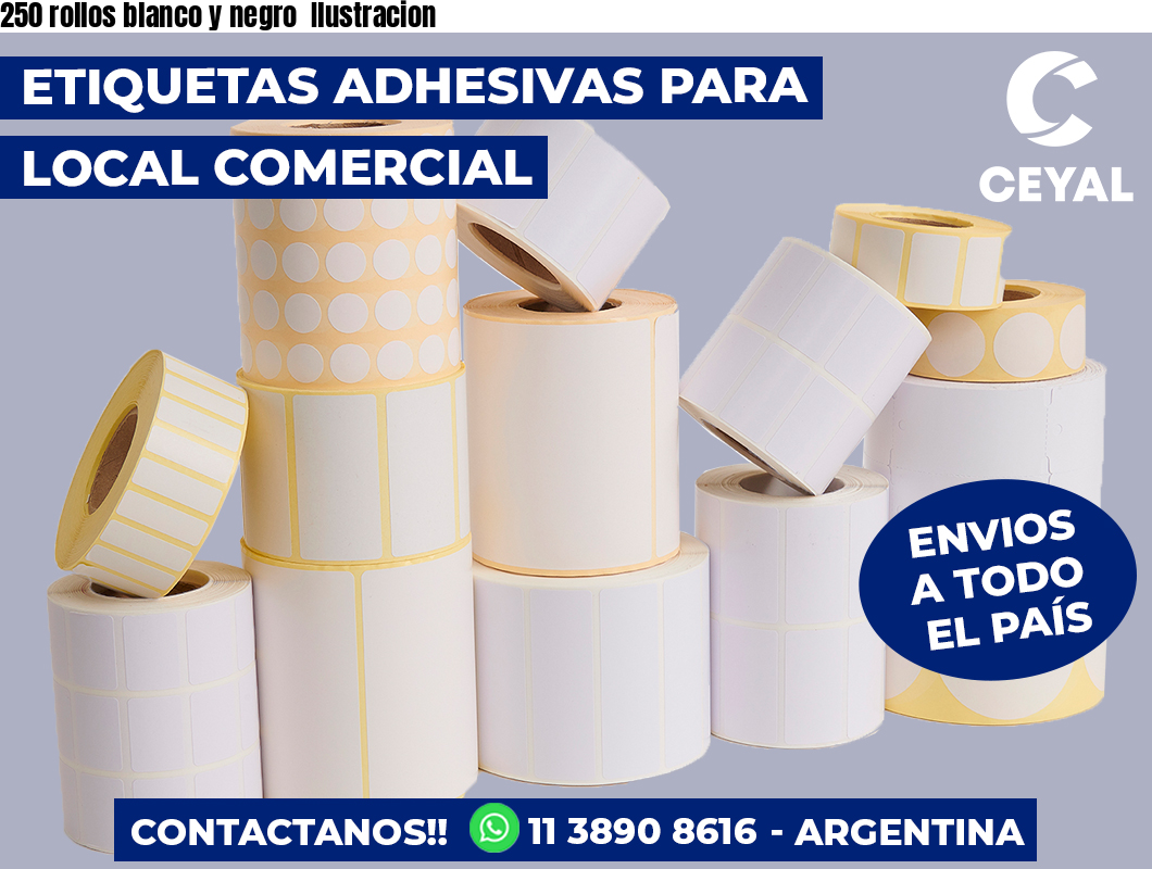 250 rollos blanco y negro Ilustracion