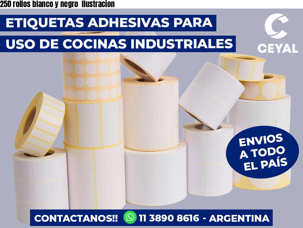 250 rollos blanco y negro Ilustracion