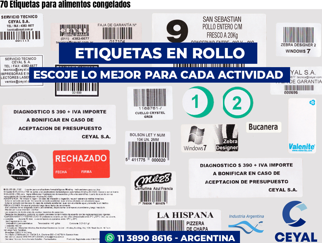 70 Etiquetas para alimentos congelados