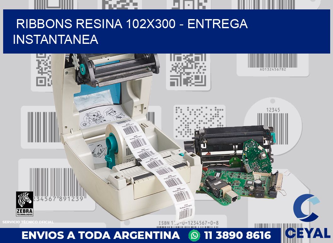 Ribbons resina 102x300 - entrega instantanea