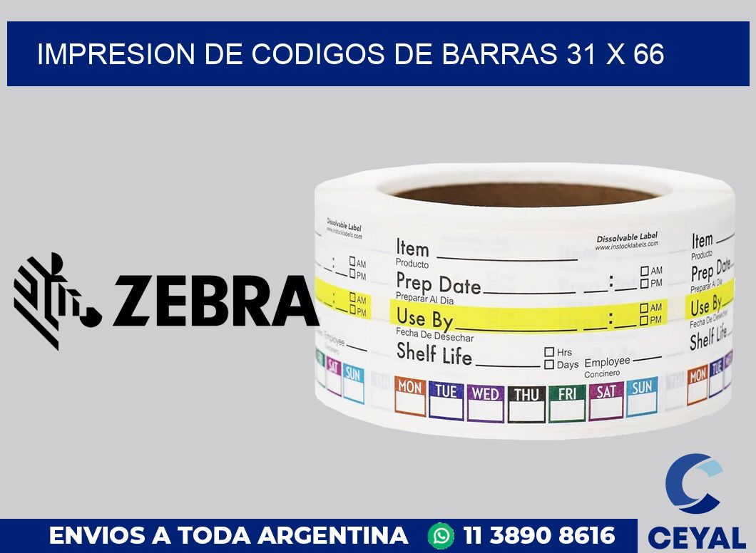impresion de codigos de barras 31 x 66