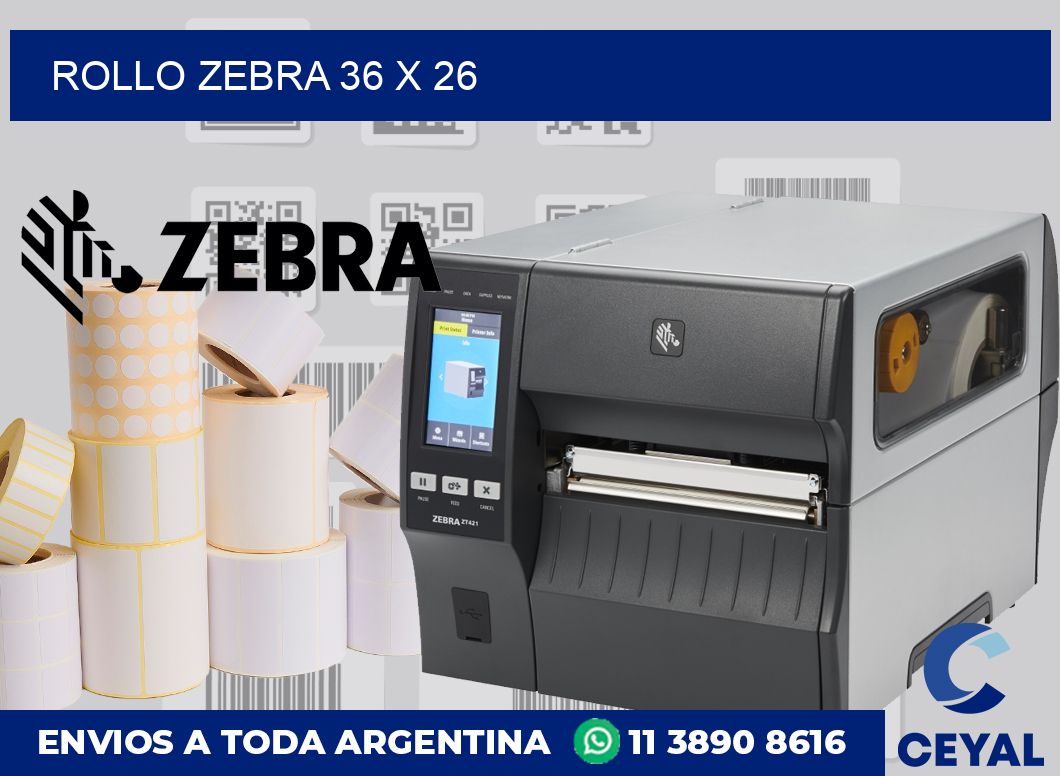 rollo zebra 36 x 26