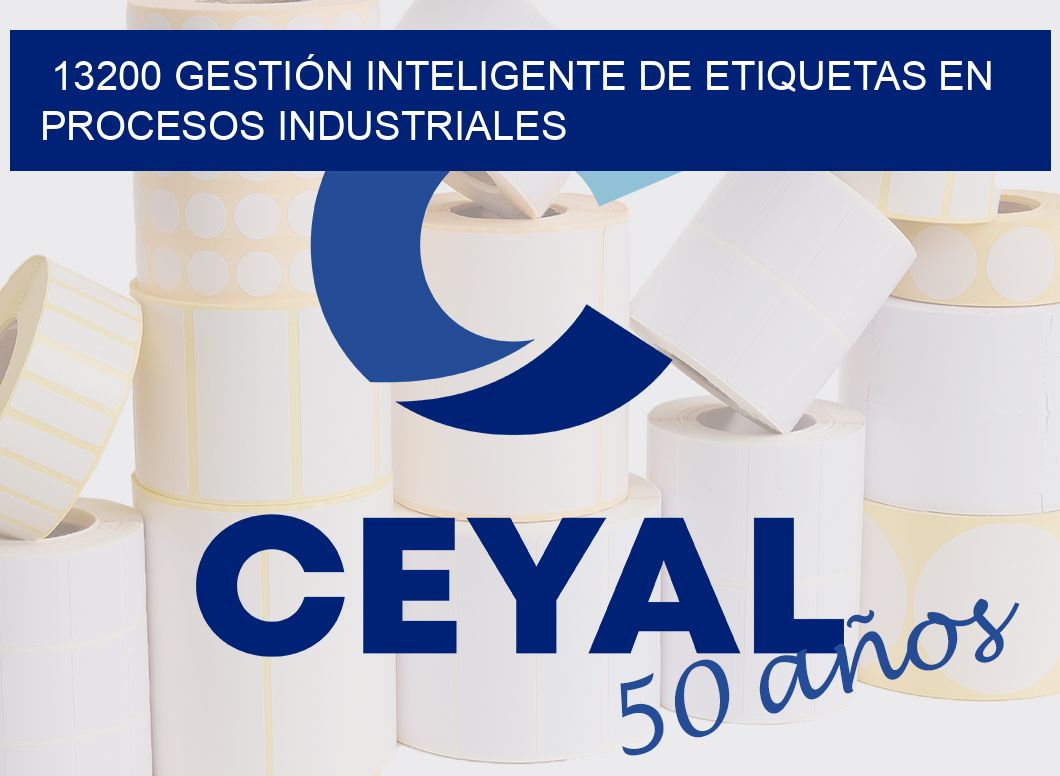 13200 GESTIÓN INTELIGENTE DE ETIQUETAS EN PROCESOS INDUSTRIALES