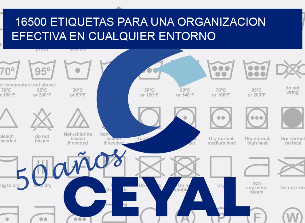 16500 ETIQUETAS PARA UNA ORGANIZACION EFECTIVA EN CUALQUIER ENTORNO