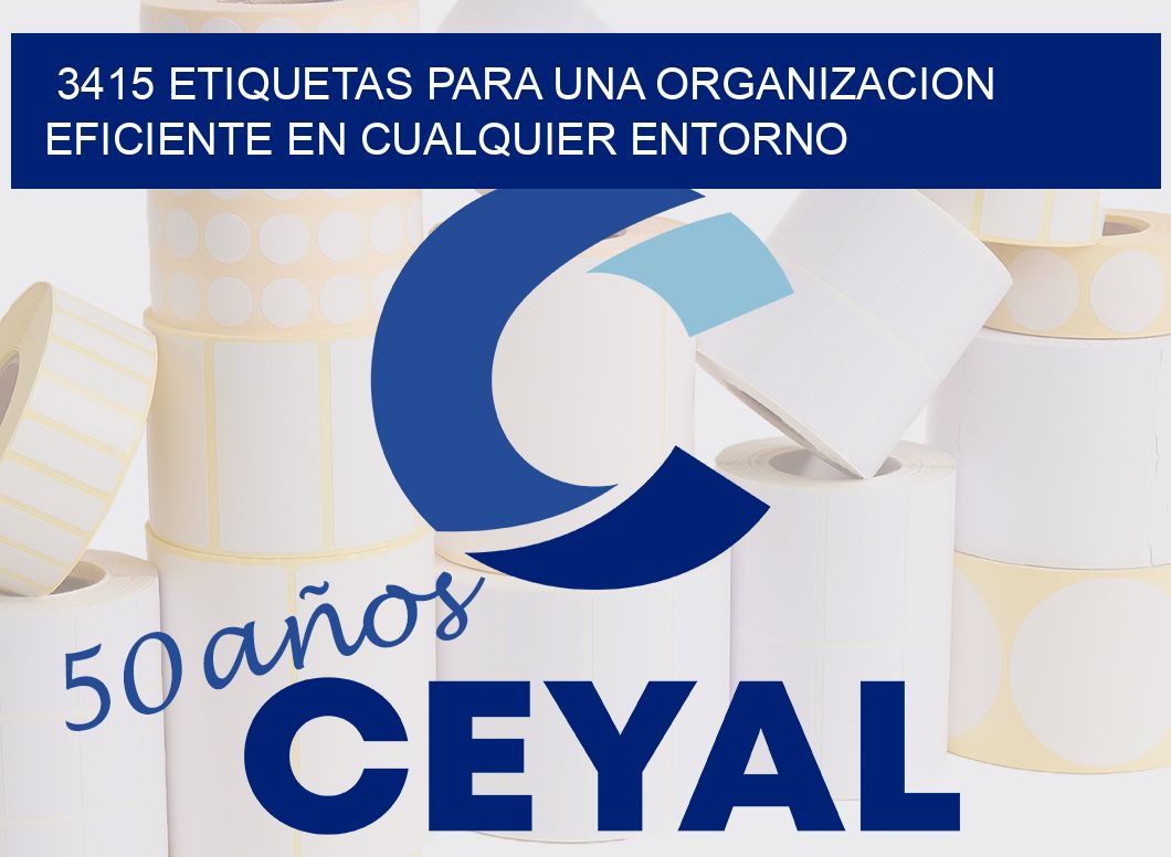 3415 ETIQUETAS PARA UNA ORGANIZACION EFICIENTE EN CUALQUIER ENTORNO