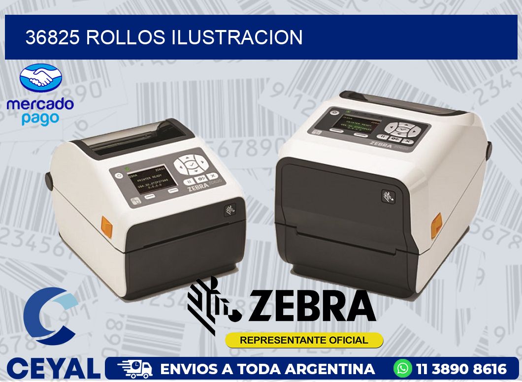 36825 ROLLOS ILUSTRACION