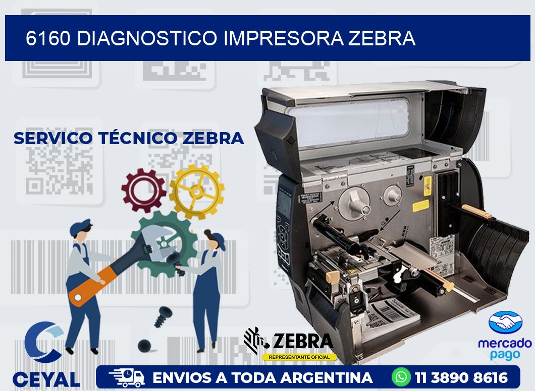 6160 DIAGNOSTICO IMPRESORA ZEBRA