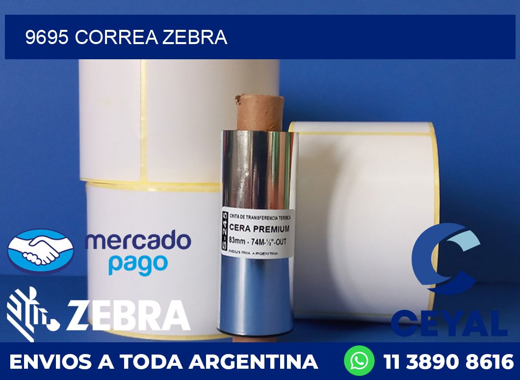 9695 CORREA ZEBRA