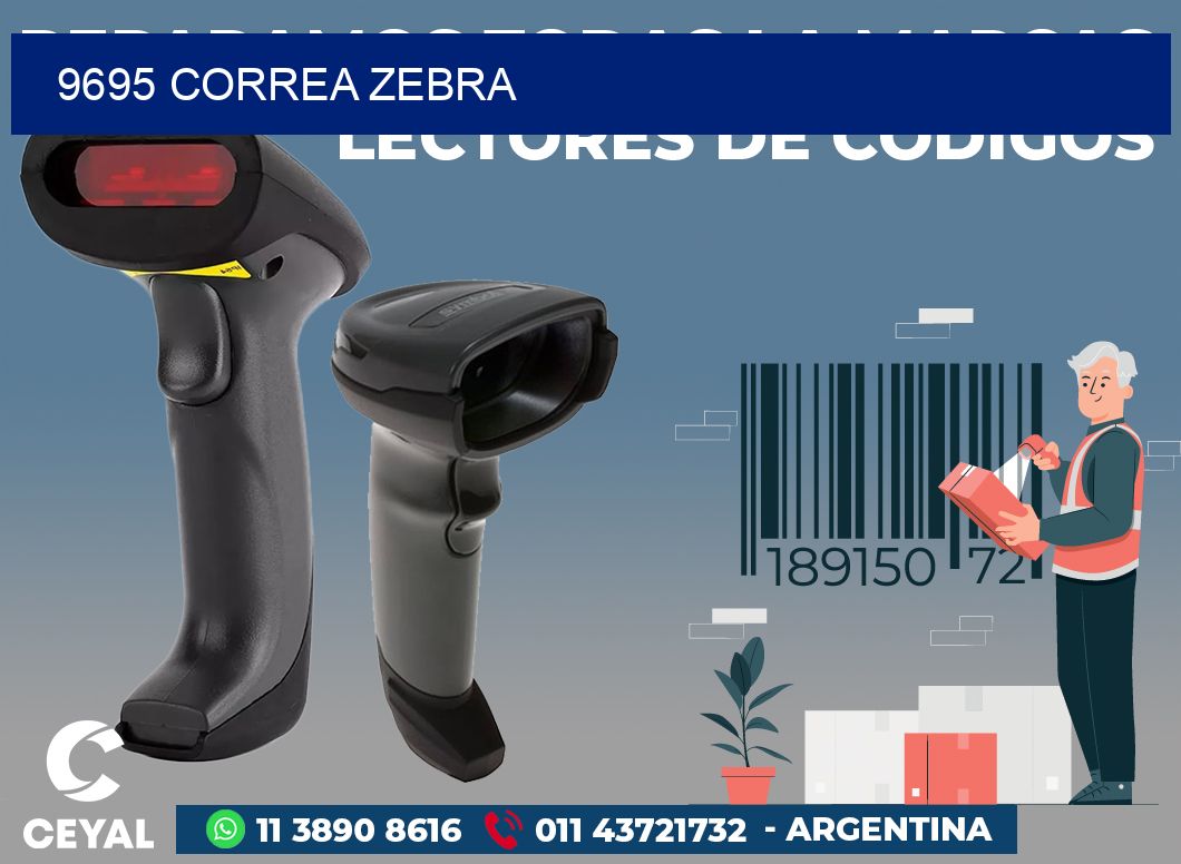 9695 CORREA ZEBRA