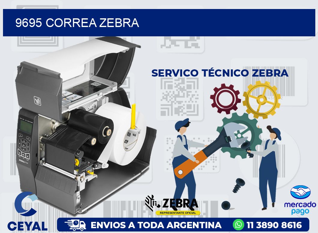 9695 CORREA ZEBRA