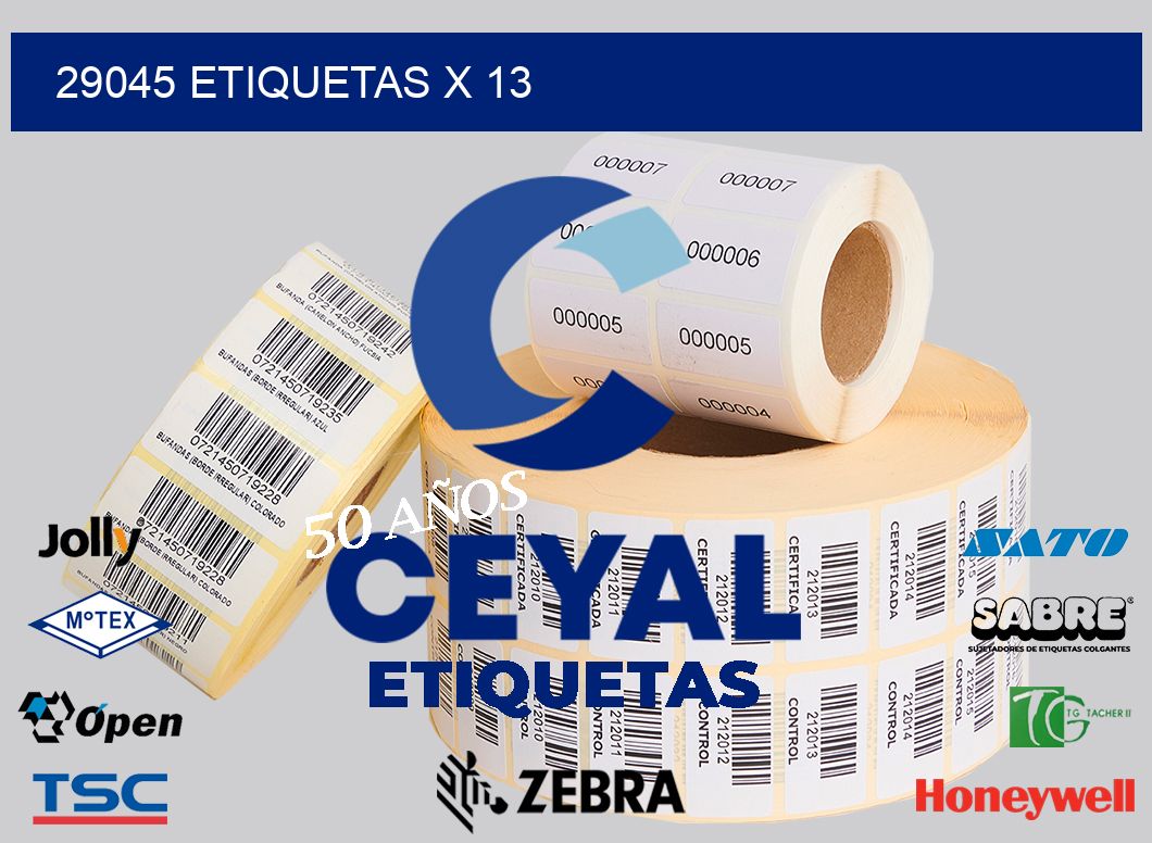 29045 Etiquetas x 13