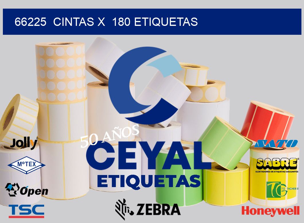 66225  cintas x  180 etiquetas