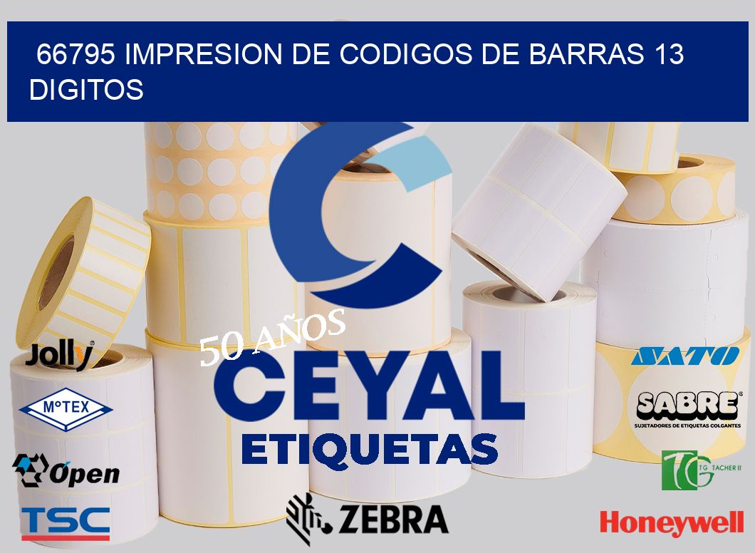66795 IMPRESION DE CODIGOS DE BARRAS 13 DIGITOS