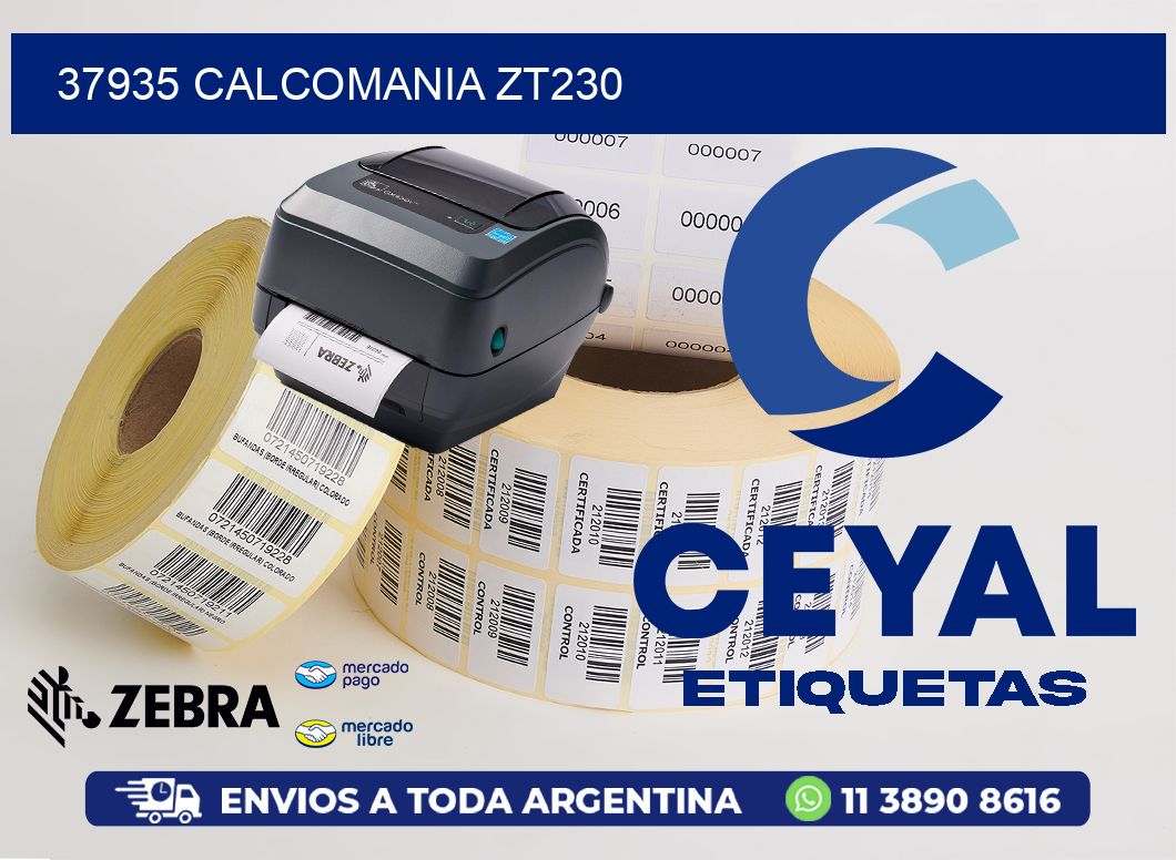 37935 CALCOMANIA ZT230