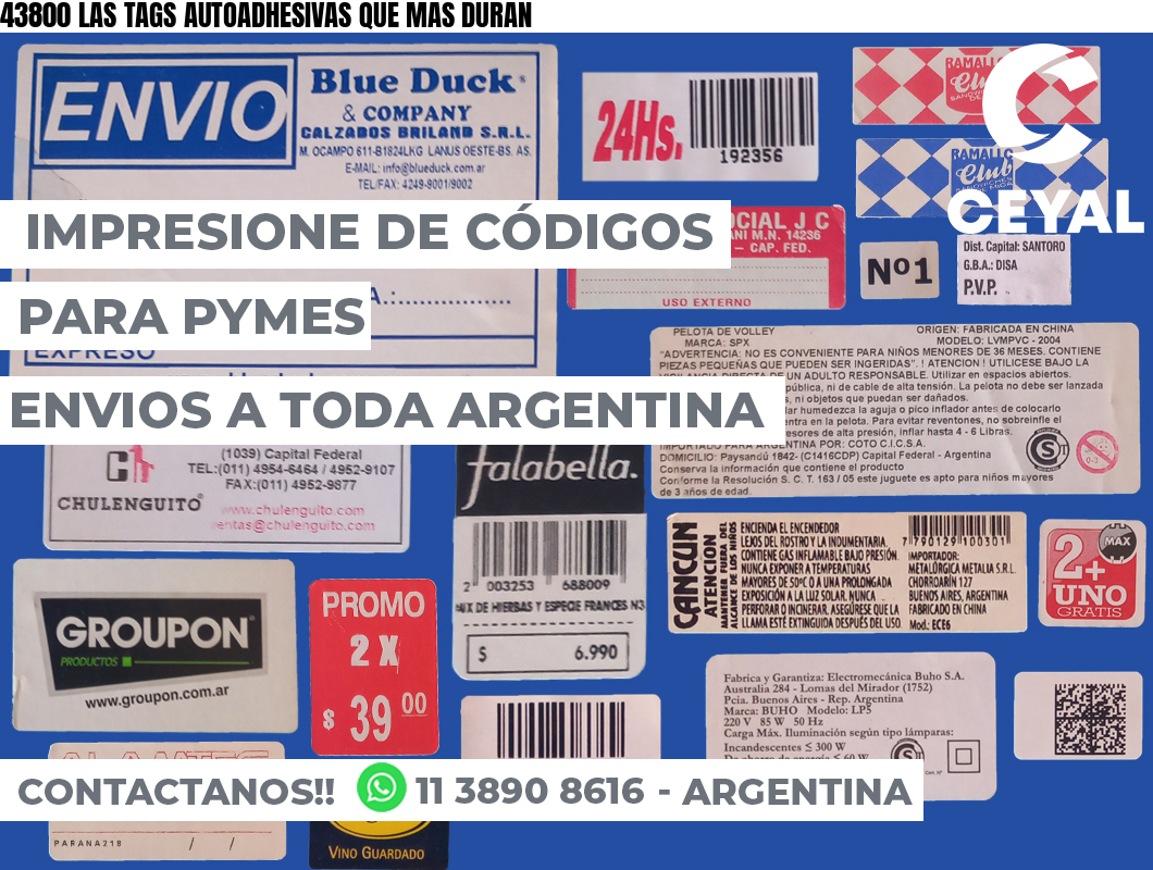 43800 LAS TAGS AUTOADHESIVAS QUE MAS DURAN