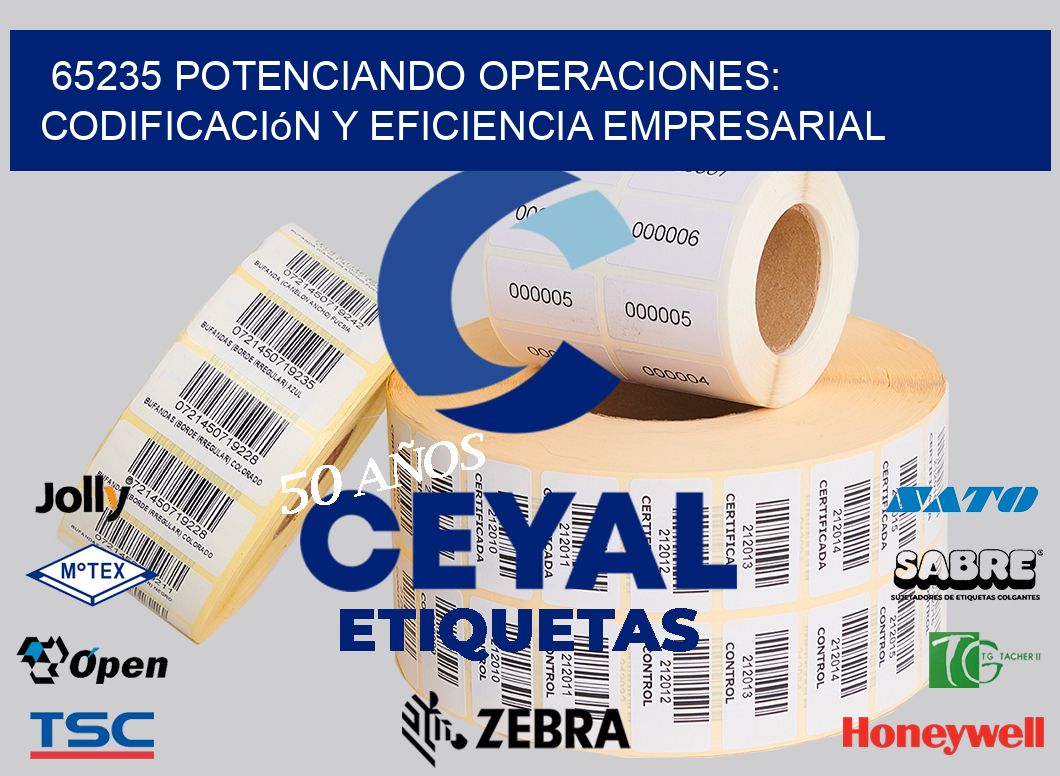65235 Potenciando Operaciones: Codificación y Eficiencia Empresarial