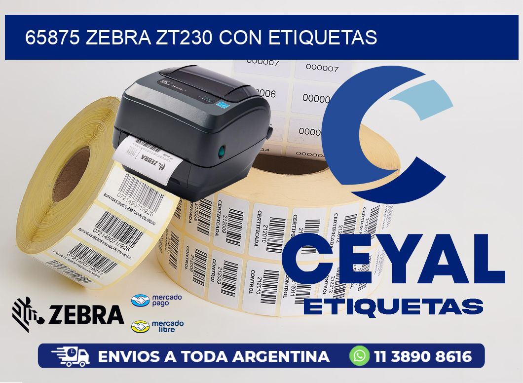 65875 Zebra ZT230 con Etiquetas