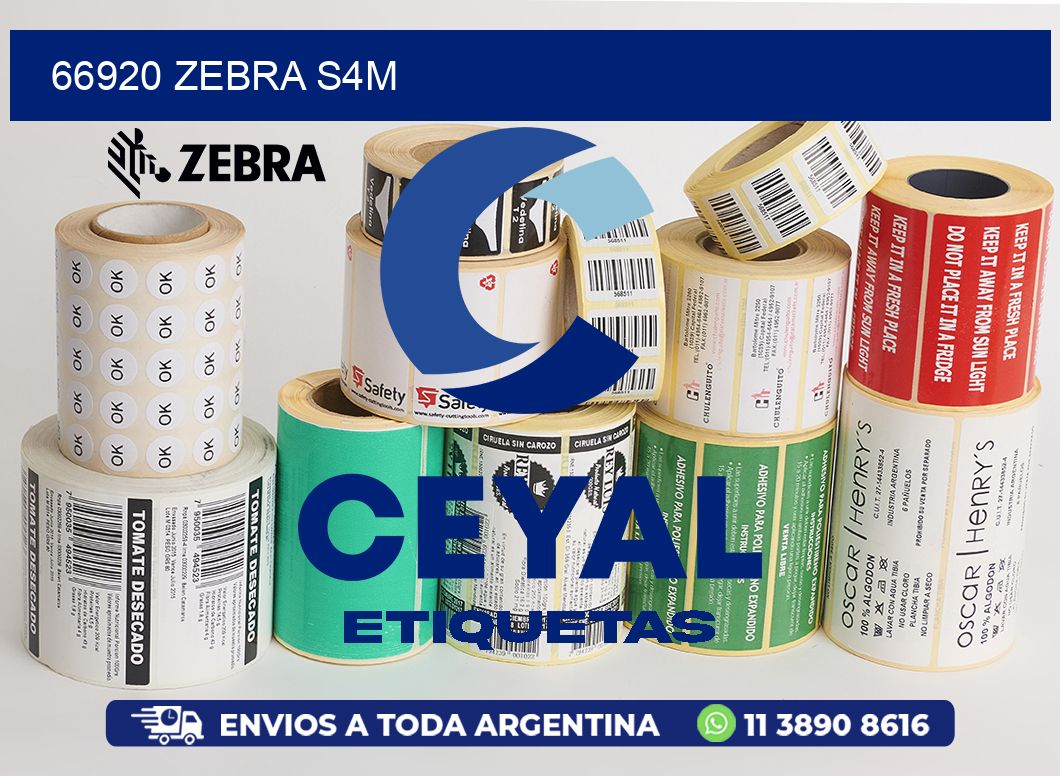 66920 ZEBRA S4M