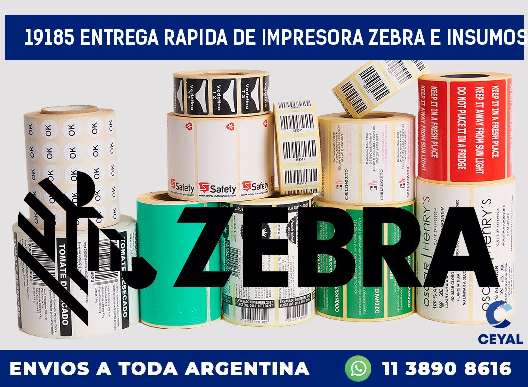 19185 ENTREGA RAPIDA DE IMPRESORA ZEBRA E INSUMOS
