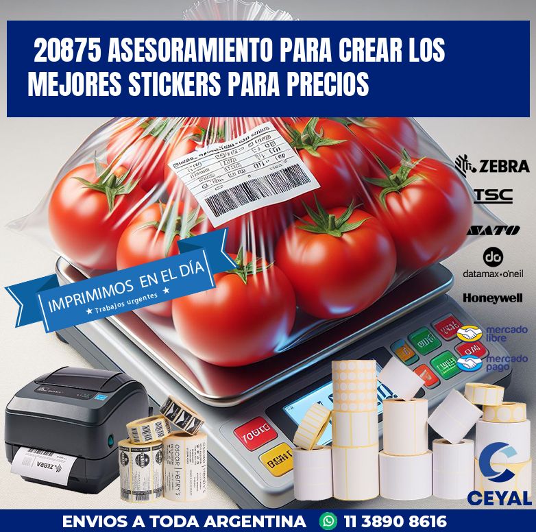 20875 ASESORAMIENTO PARA CREAR LOS MEJORES STICKERS PARA PRECIOS