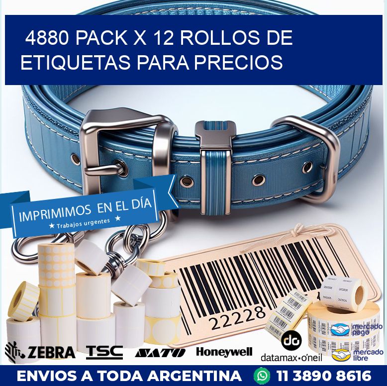 4880 PACK X 12 ROLLOS DE ETIQUETAS PARA PRECIOS