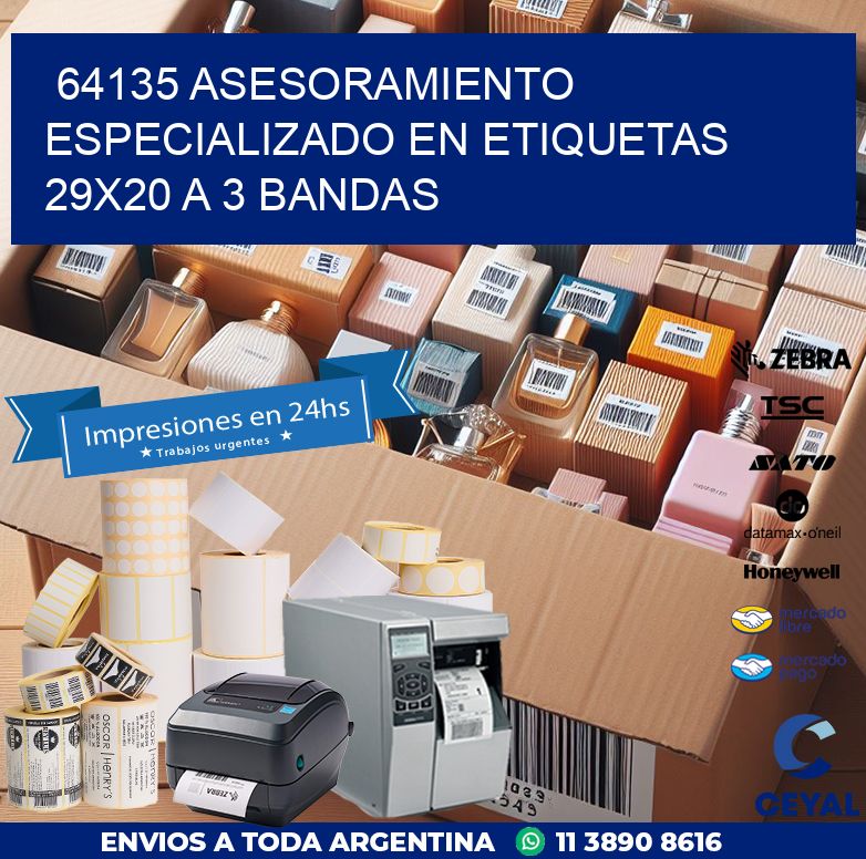 64135 ASESORAMIENTO ESPECIALIZADO EN ETIQUETAS 29X20 A 3 BANDAS