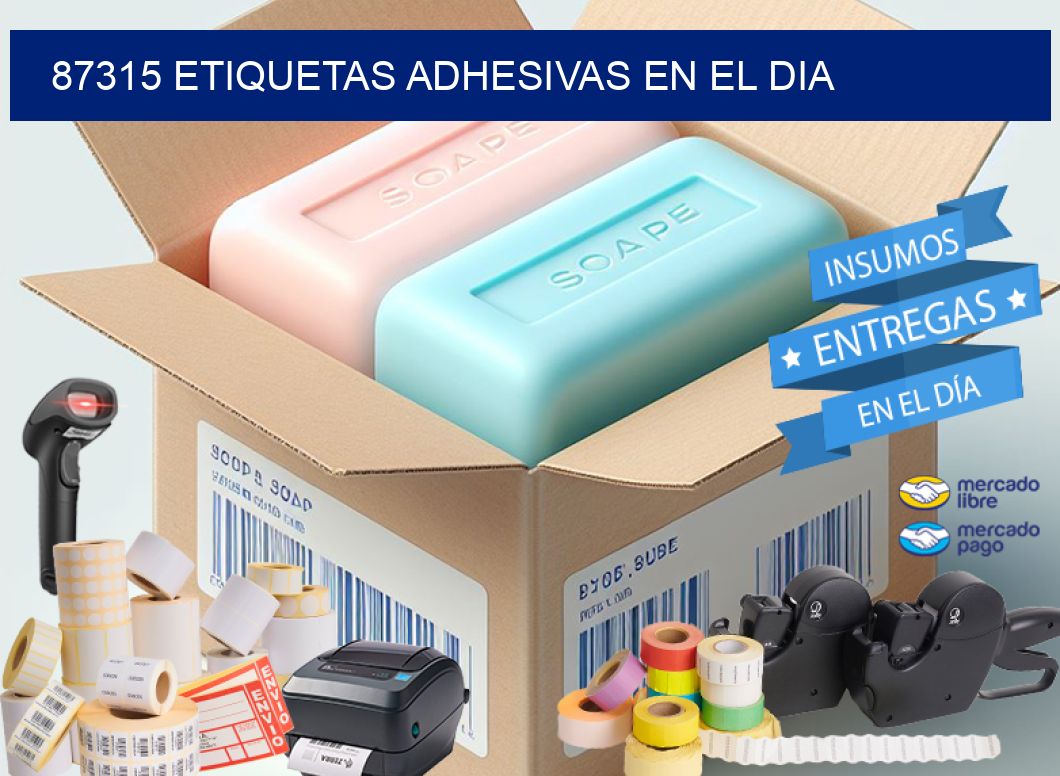 87315 etiquetas adhesivas en el dia