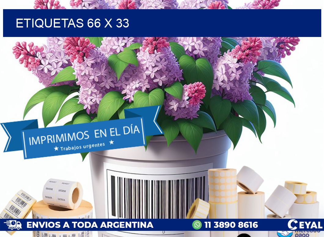 ETIQUETAS 66 x 33