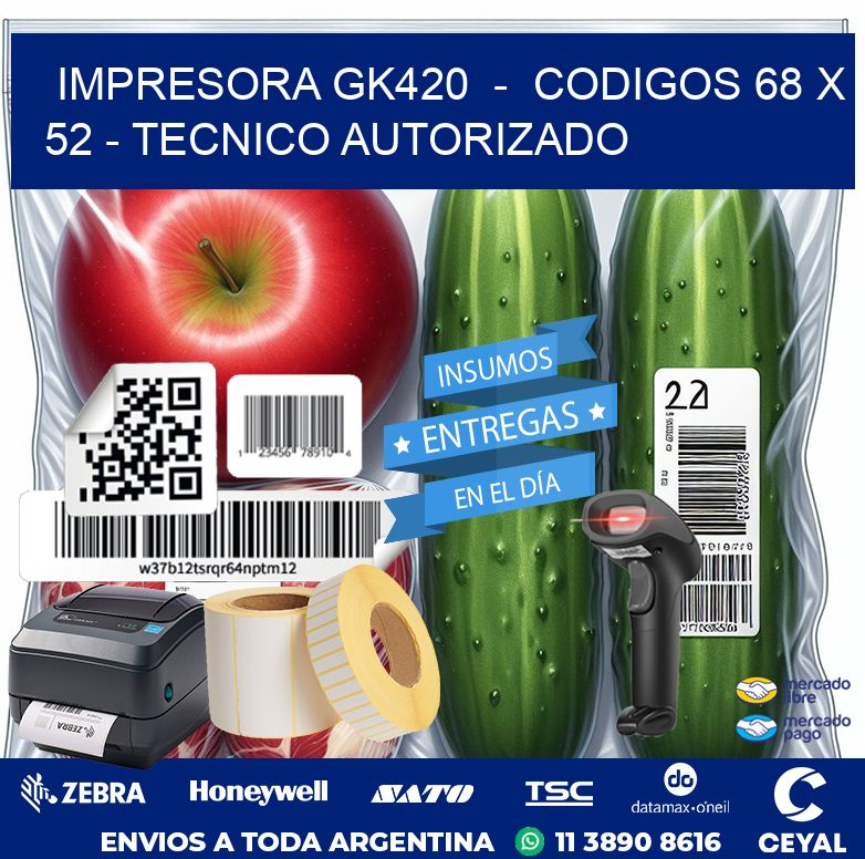 IMPRESORA GK420  –  CODIGOS 68 x 52 – TECNICO AUTORIZADO