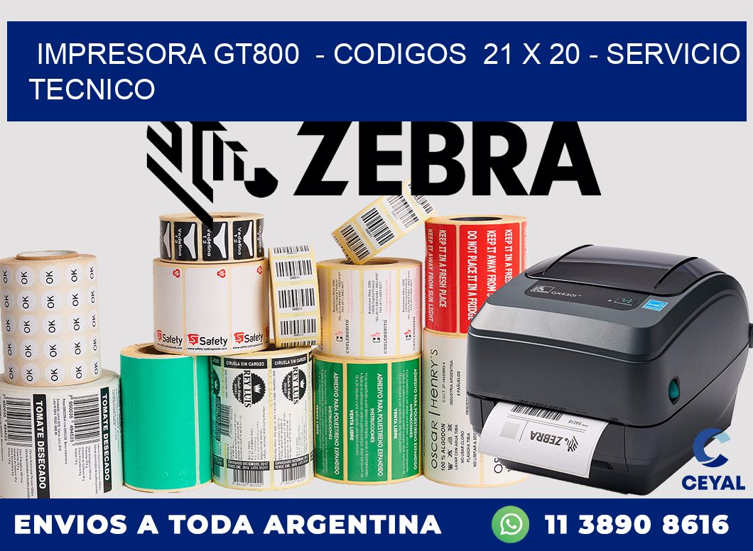 IMPRESORA GT800  - CODIGOS  21 x 20 - SERVICIO TECNICO