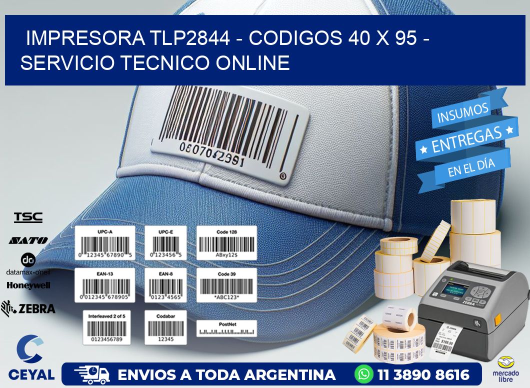 IMPRESORA TLP2844 - CODIGOS 40 x 95 - SERVICIO TECNICO ONLINE