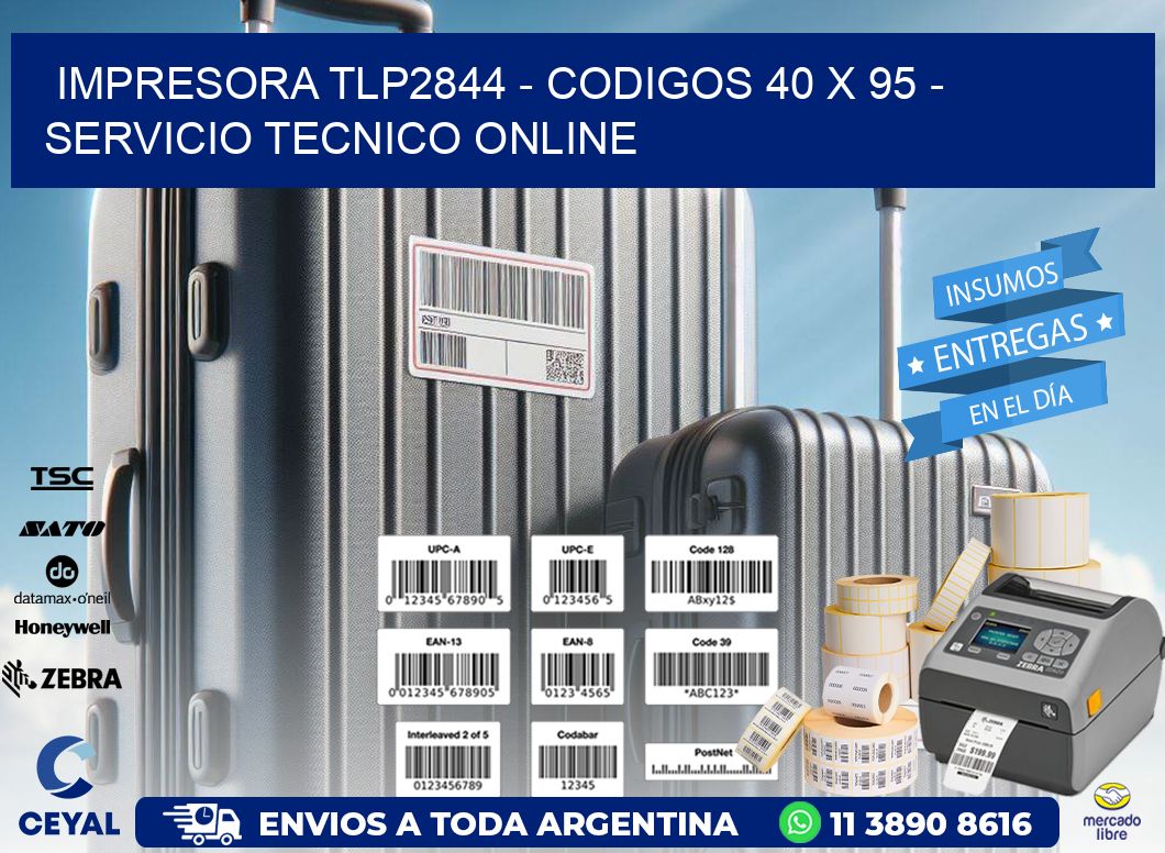 IMPRESORA TLP2844 - CODIGOS 40 x 95 - SERVICIO TECNICO ONLINE