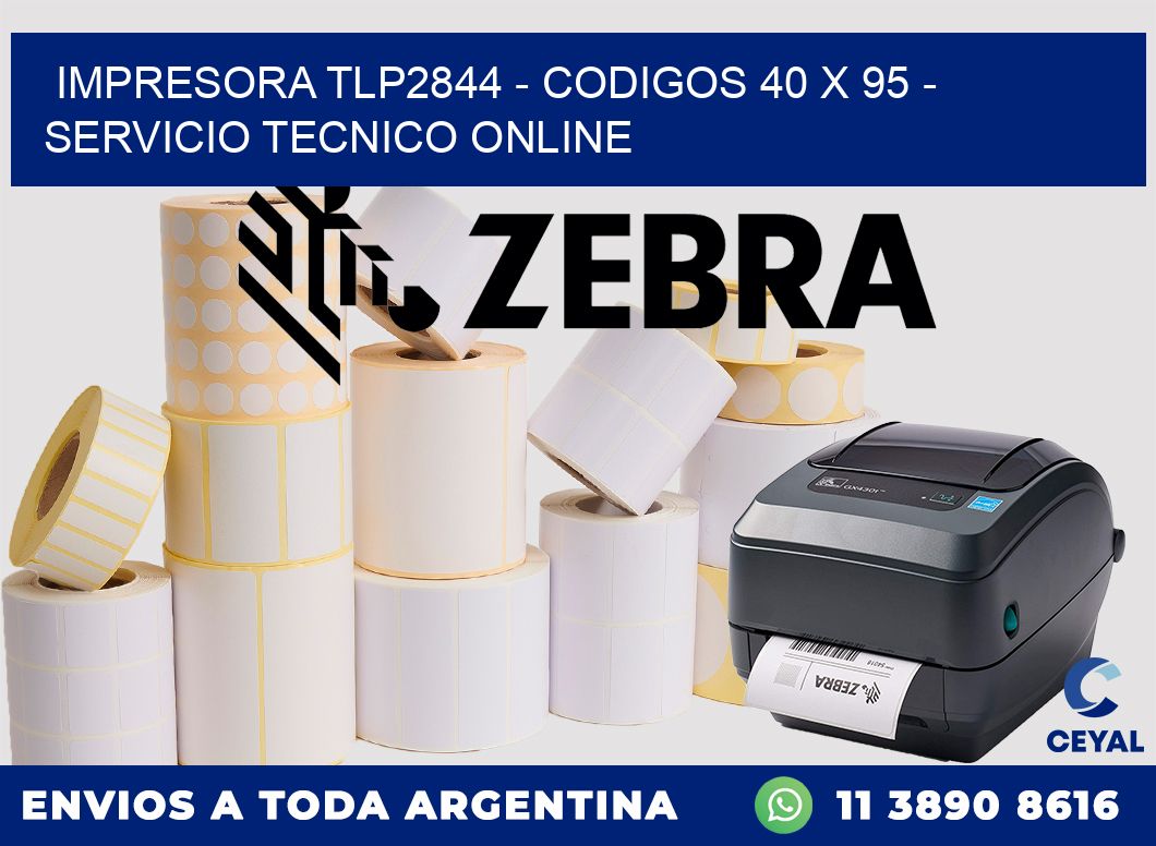 IMPRESORA TLP2844 - CODIGOS 40 x 95 - SERVICIO TECNICO ONLINE