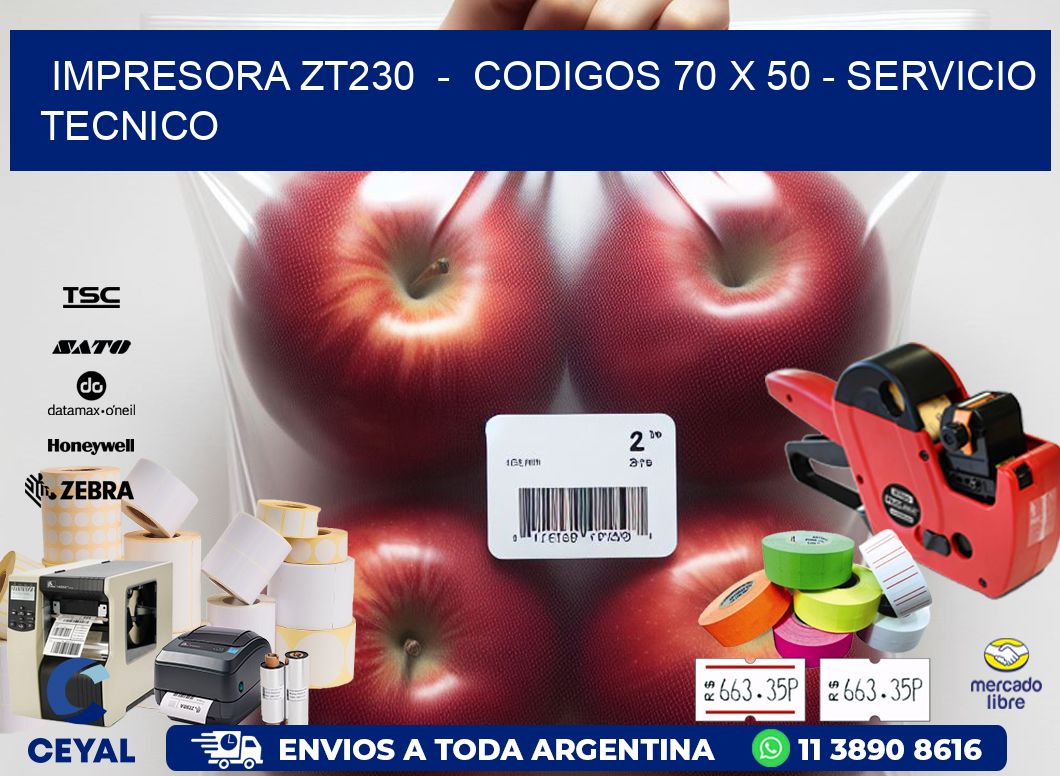 IMPRESORA ZT230 - CODIGOS 70 x 50 - SERVICIO TECNICO