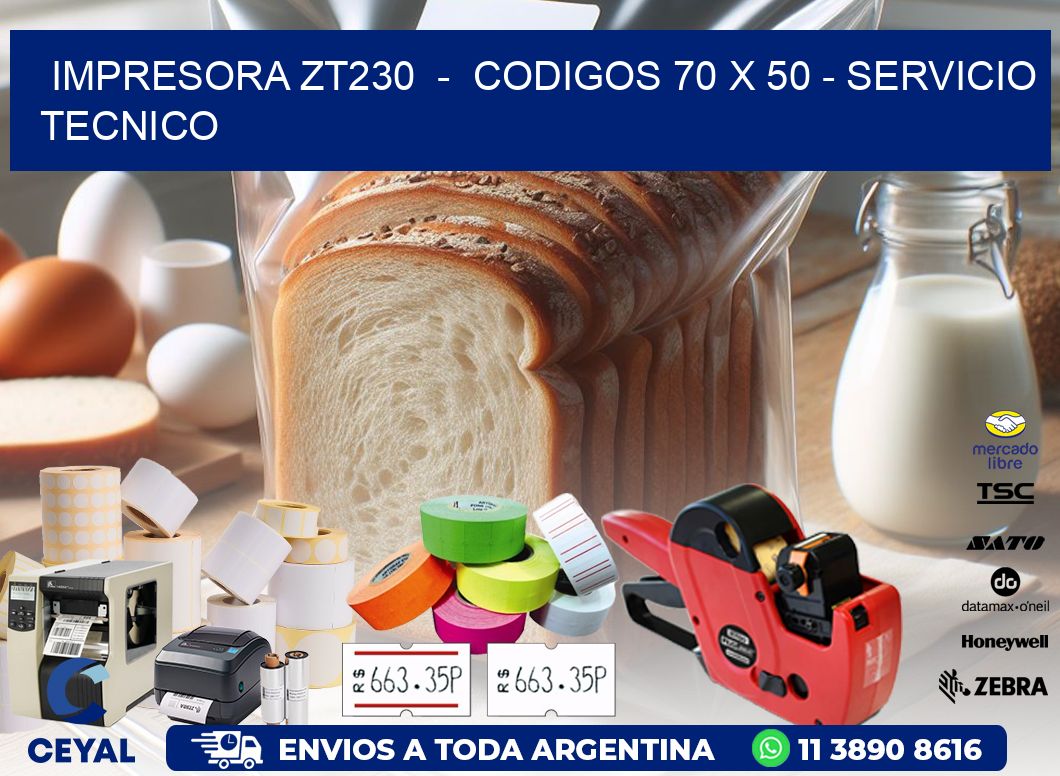 IMPRESORA ZT230 - CODIGOS 70 x 50 - SERVICIO TECNICO