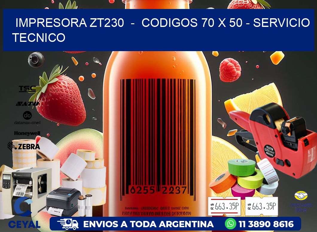 IMPRESORA ZT230 - CODIGOS 70 x 50 - SERVICIO TECNICO