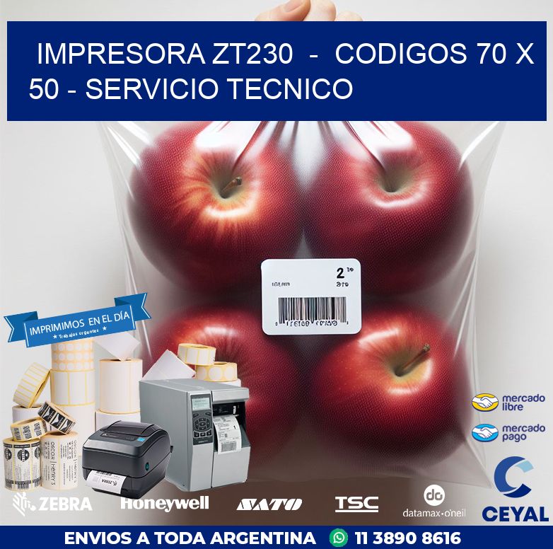 IMPRESORA ZT230  –  CODIGOS 70 x 50 – SERVICIO TECNICO