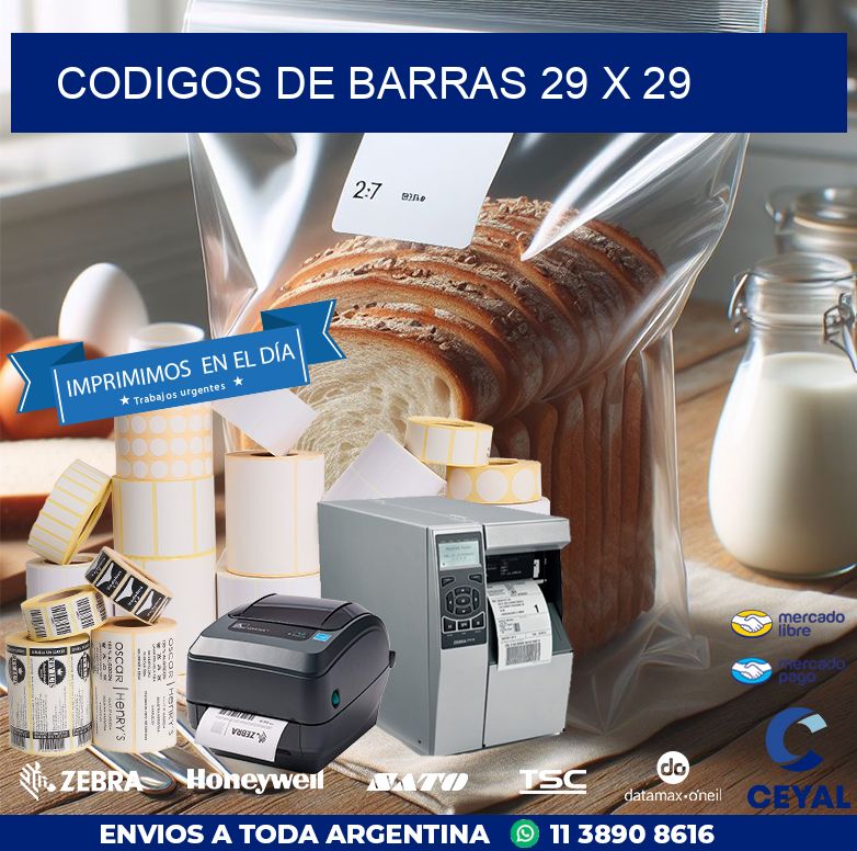 codigos de barras 29 x 29
