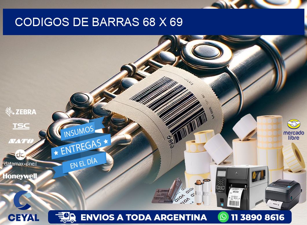 codigos de barras 68 x 69