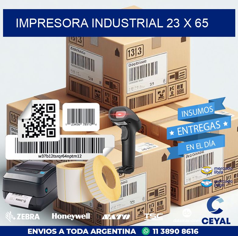 impresora industrial 23 x 65