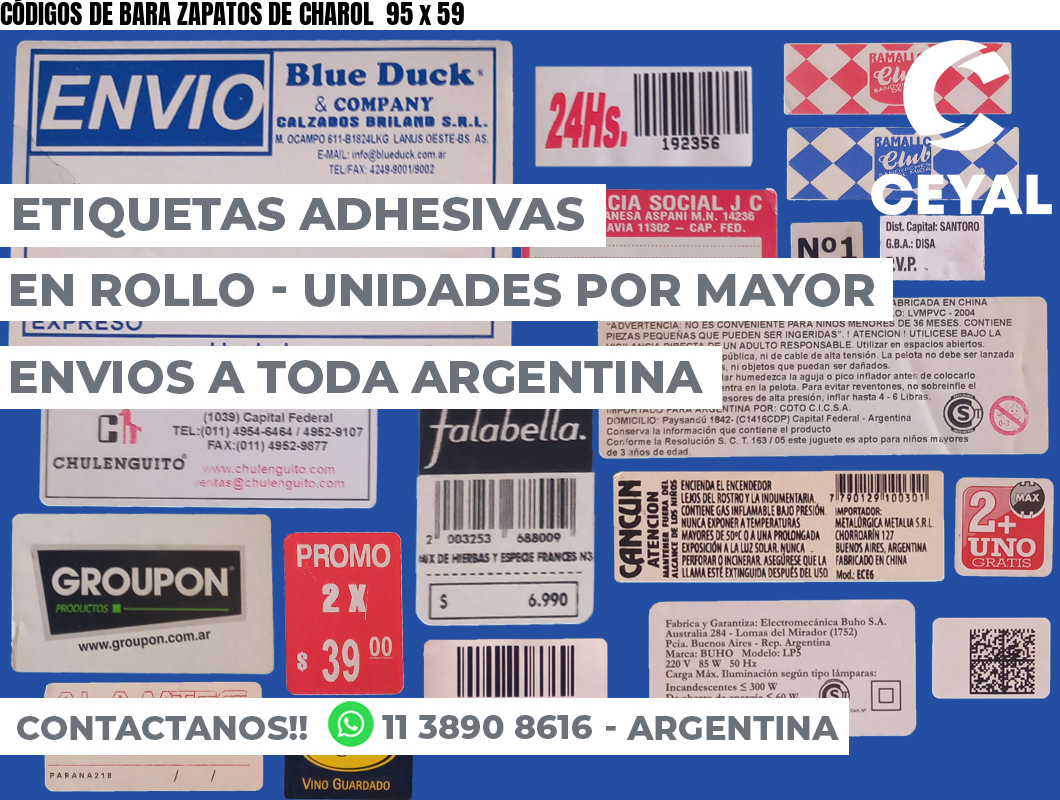 CÓDIGOS DE BARA ZAPATOS DE CHAROL  95 x 59