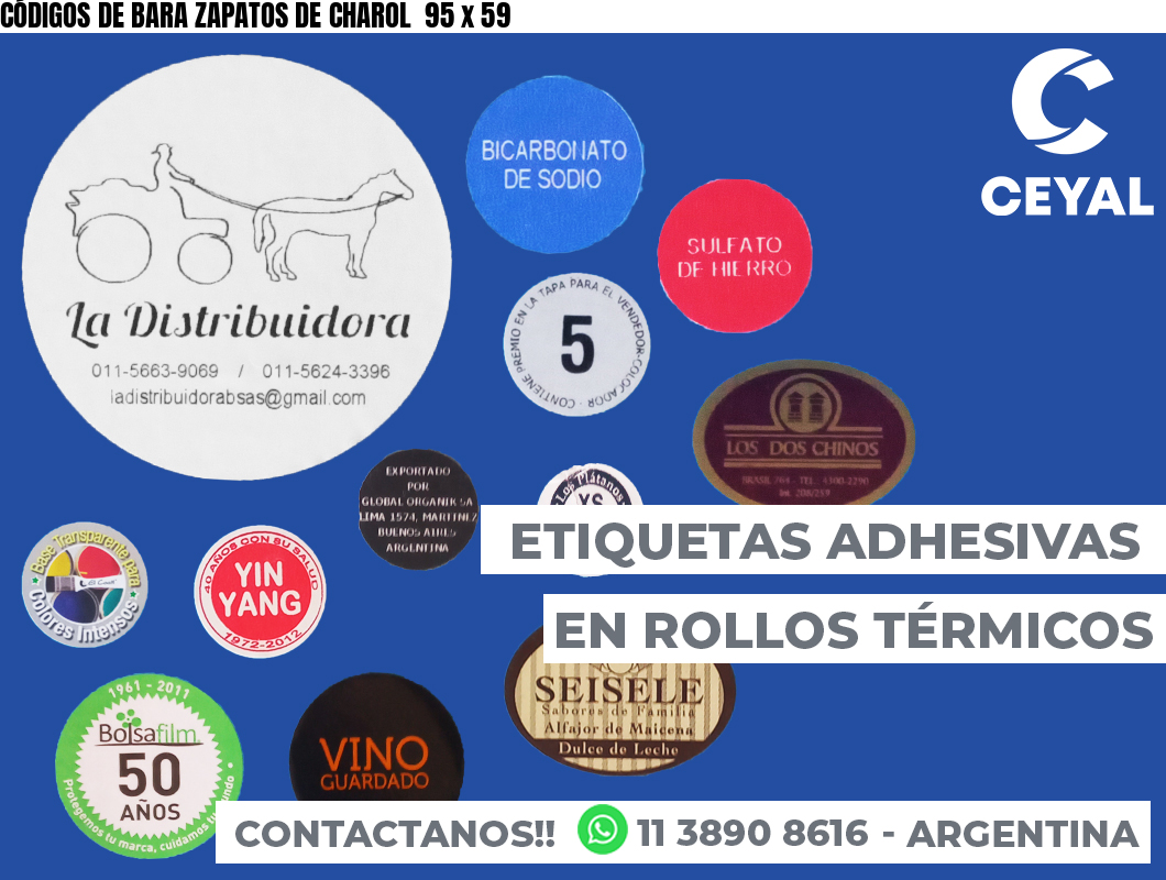 CÓDIGOS DE BARA ZAPATOS DE CHAROL 95 x 59