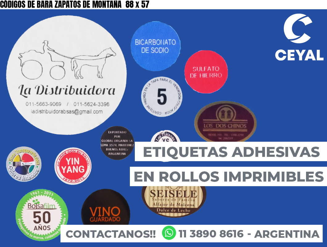 CÓDIGOS DE BARA ZAPATOS DE MONTAÑA  88 x 57