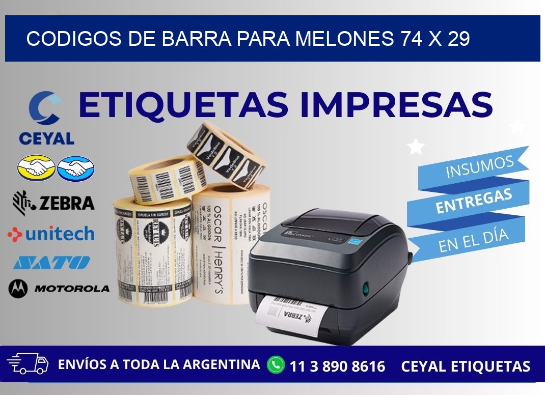 CODIGOS DE BARRA PARA MELONES 74 x 29