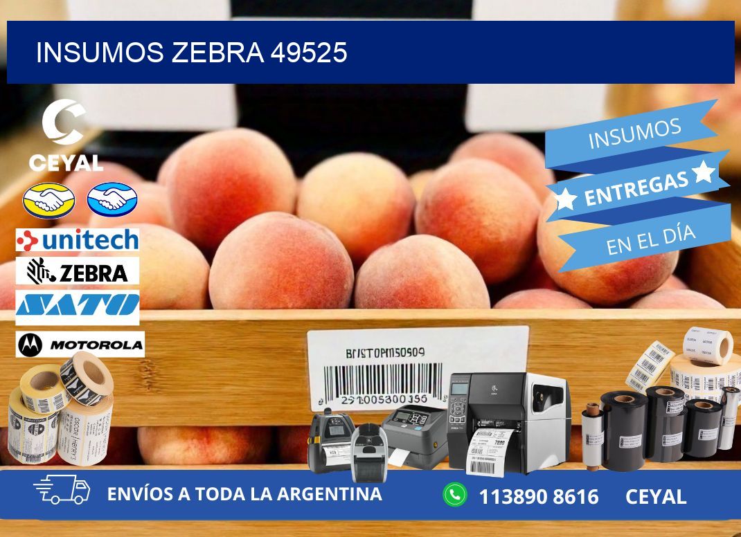 INSUMOS ZEBRA 49525